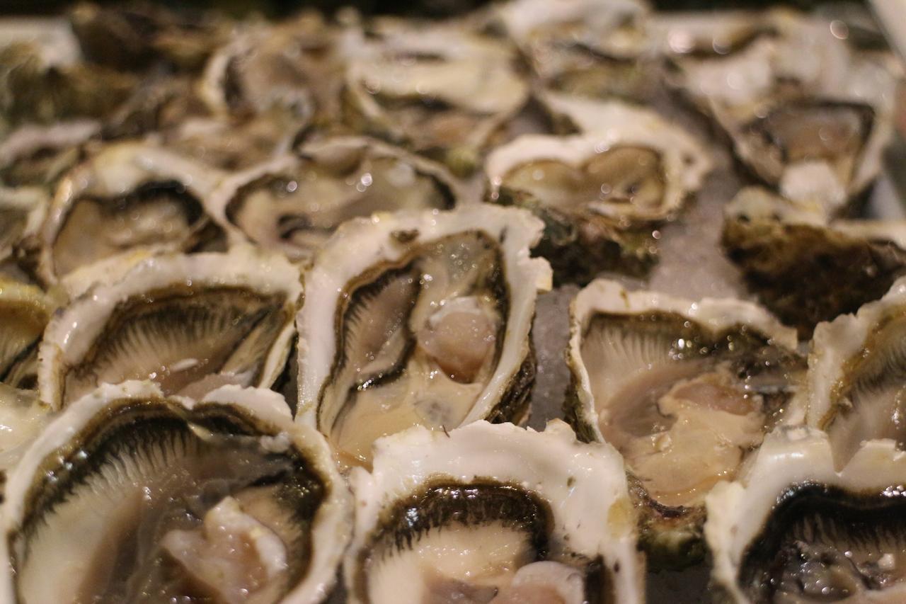 Kenzi Club Agdal Medina Ξενοδοχείο Lahebichate Εξωτερικό φωτογραφία Oysters